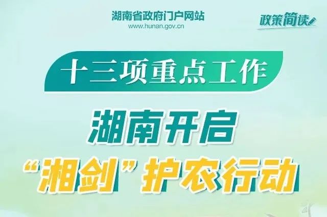 乌杨最新招聘启事，携手人才，共创美好未来