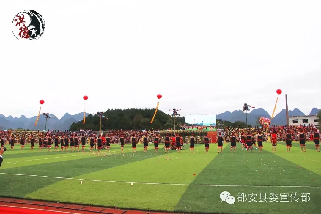 都安道场视频，传统与现代的融合之美展现