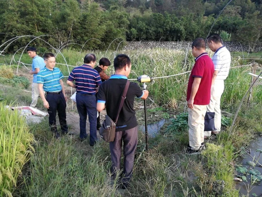 最新土地苗圃补偿标准全面解析