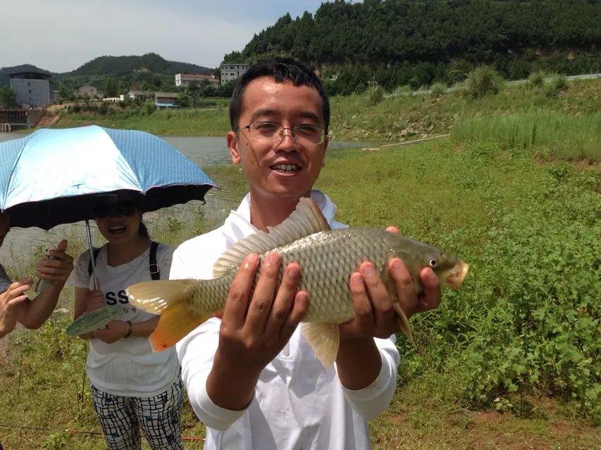 升钟湖钓鱼情况全面解析，最新钓鱼动态一网打尽