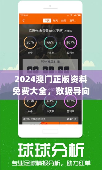 2024新澳免费资料公式,实地分析考察数据_Android256.184