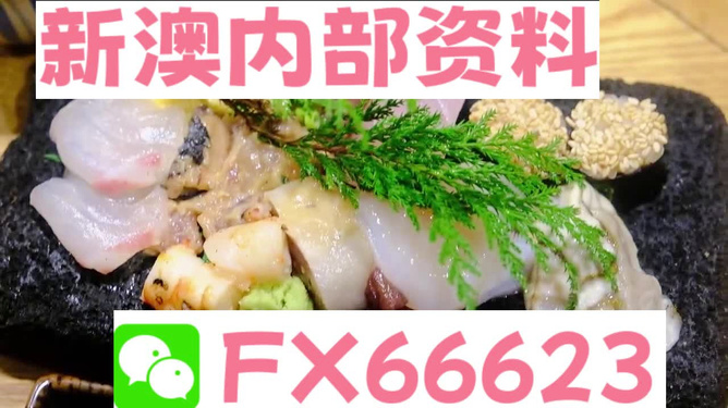 新澳精准资料免费提供网站有哪些,最新研究解析说明_动态版20.68