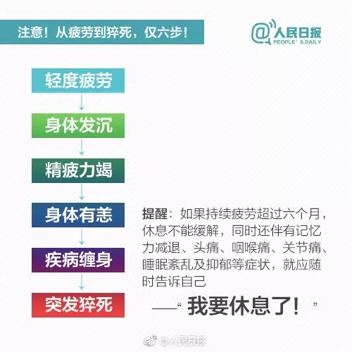 白领合集最新章节列表全览