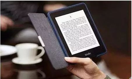 2024新澳正版免费资料,实践数据解释定义_Kindle48.71