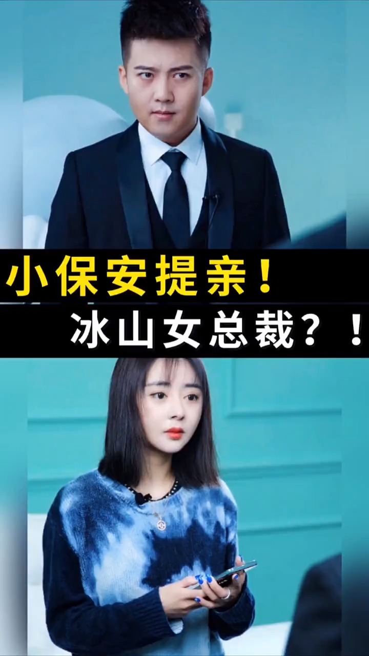 冰山女总裁的炙热情感挑战