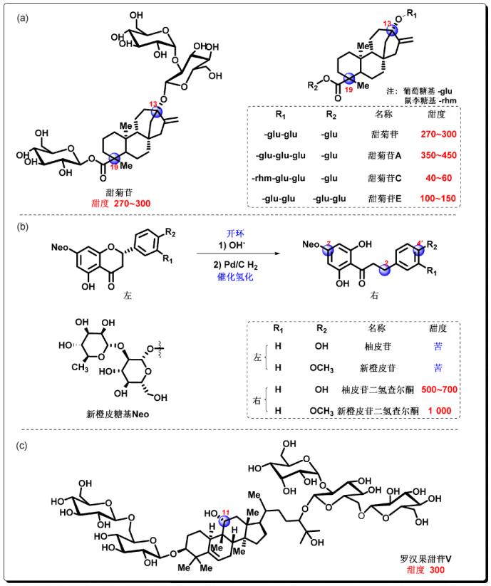 2004澳门资料大全免费,安全策略评估_圣之道DZB800.23