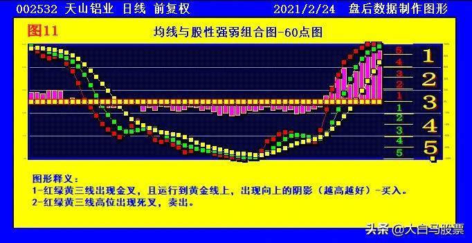 澳门天天彩期期精准,综合判断解析解答_活跃版LFX678.59