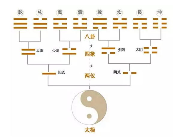 管家婆的资料一肖中特规律,状况评估解析_四象境DRO313.57