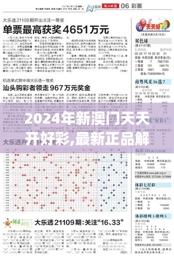 2024新奥历史开奖记录,最新热门解答定义_千天境ZOG621.38