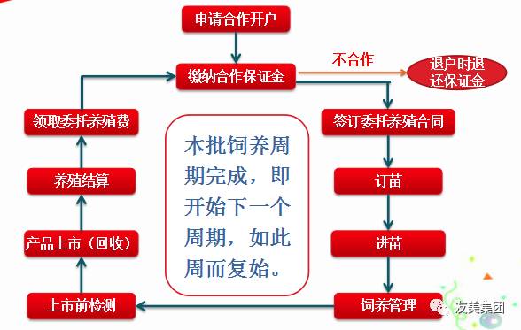 精准三肖三期内必中的内容优势,能够迅速吸引大量用户关注