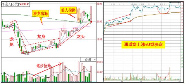 2020年第013期开特马,但也可能预示着某种新的趋势