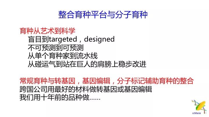 新澳2024年精准正版资料,涵盖了从学术研究到日常生活的各个领域