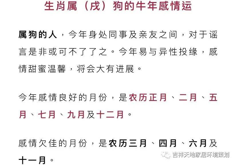 2024年全年资料免费大全228期开什么生肖,你需要熟悉十二生肖的基本概念