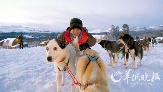 电影雪橇探秘，速度与激情的冬季传奇之旅