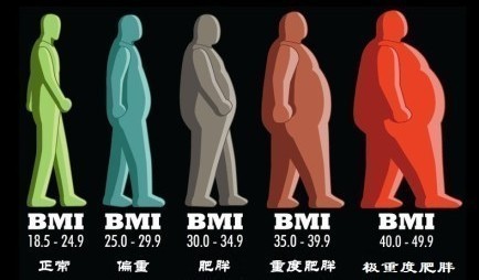 2024澳门天天开好彩大全免费,bmi指数30是肥胖还是超重_黄金版5.80