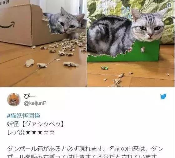 新奥最快最准免费资料,猫咪图鉴_智能版7.122