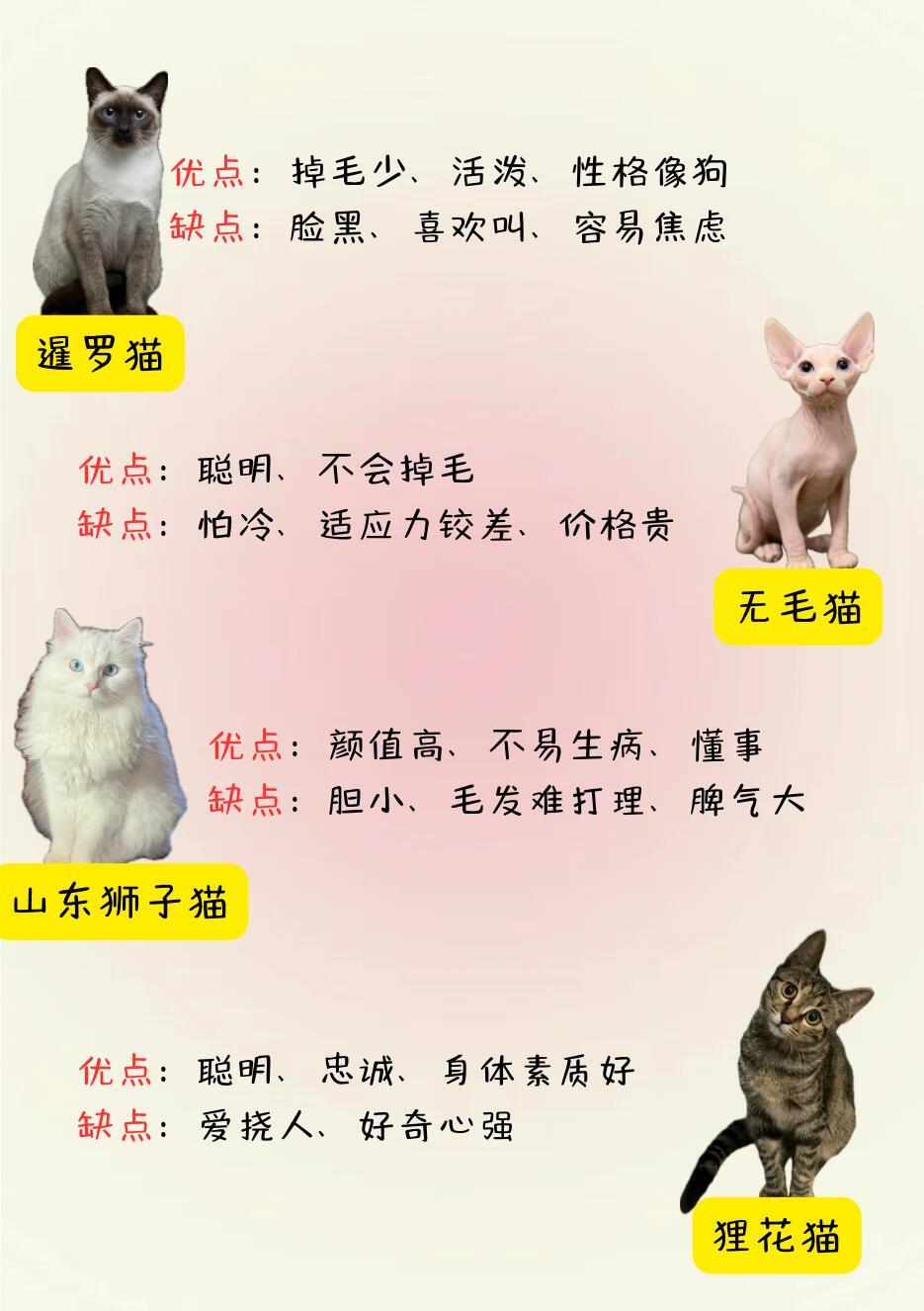 新澳精准资料免费大全,猫咪品种大全_旗舰版4.56