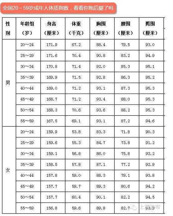 人体重最新研究与发现揭秘体重背后的奥秘