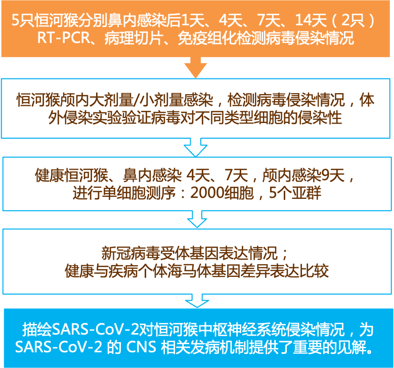 79456濠江论坛2024年147期资料,实证解读说明_体验版92.363