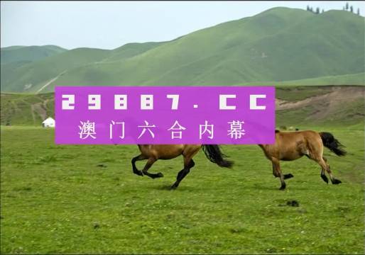 澳门跑狗图正版高清图片,实地数据验证设计_桌面版13.589