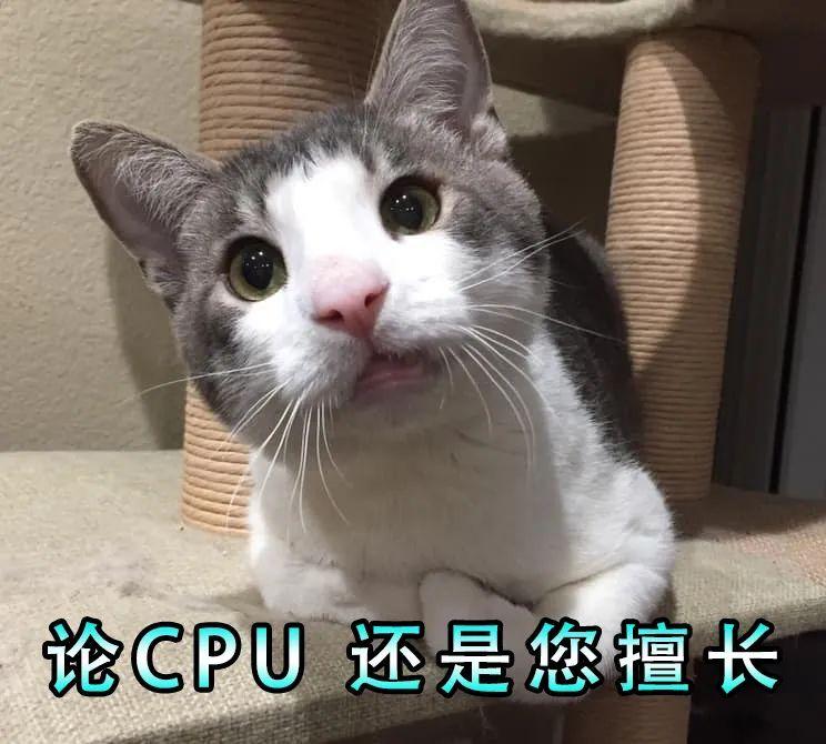 看香港精准资料免费公开,猫咪流血尿_起步版8.188