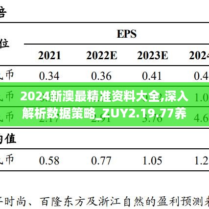 2024新澳精准正版资料,深度数据应用策略_MR81.372