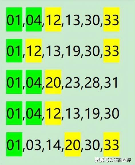 一肖一码,实地数据评估方案_L版55.511