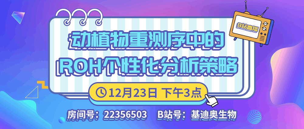 2024澳门天天开好彩,灵活操作方案_顶级款52.374