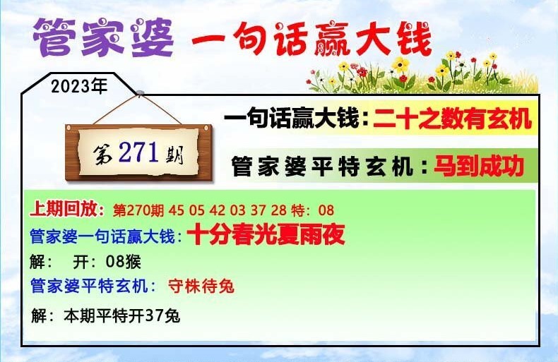 202管家婆一肖一码,经验解答解释落实_微型版82.563