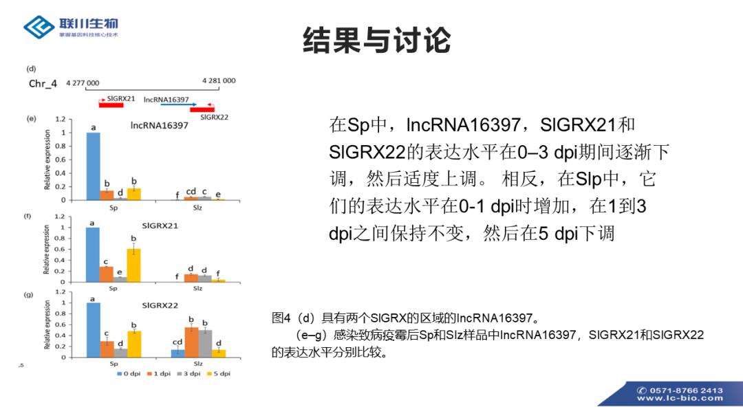 香港资料,调整细节执行方案_iShop65.568