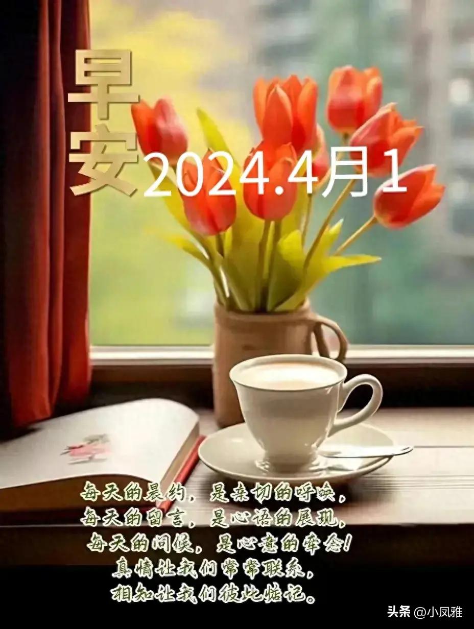 2024天天彩资料大全免费600,全面说明解析_WP版44.877