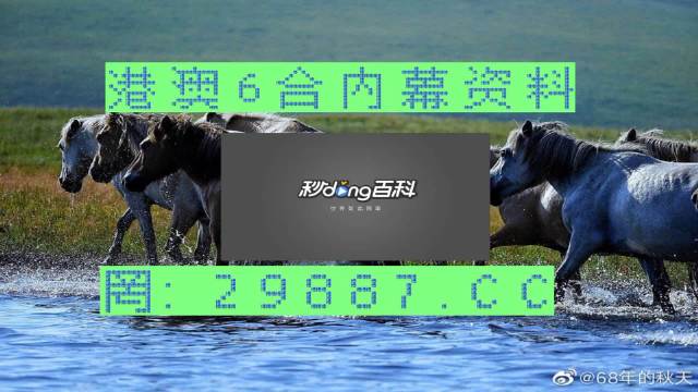 2024澳门买马最准网站,最新热门解答落实_SP74.779