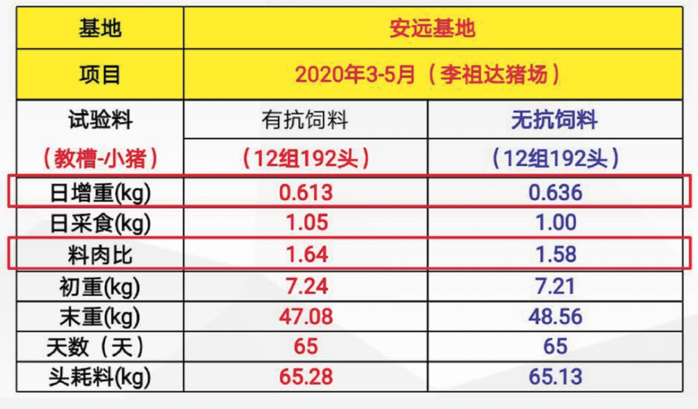 新2024澳门兔费资料,实地数据验证计划_2DM13.838