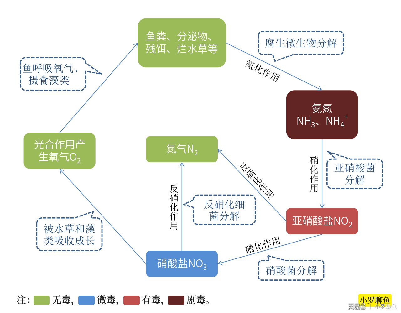 氮循环的新视角，环境科学的探索之旅