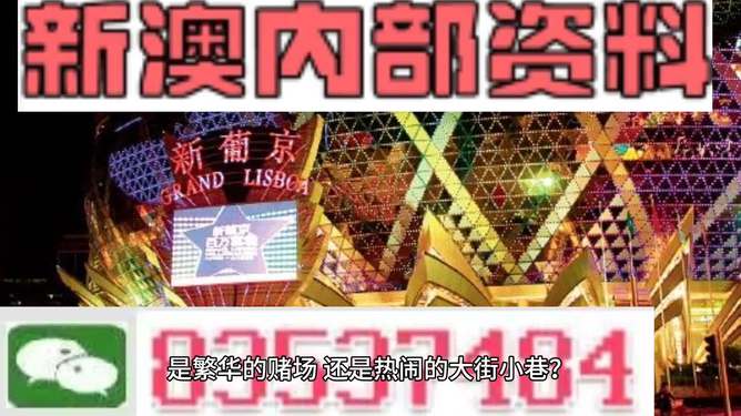 新澳门精准资料大全管家婆料,实地解析说明_尊享款19.550