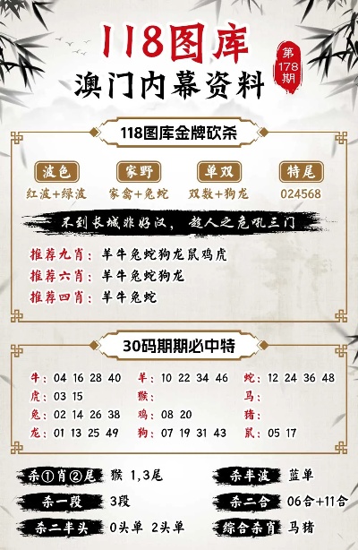 新澳门今晚精准一肖,数据导向计划解析_优选版10.681