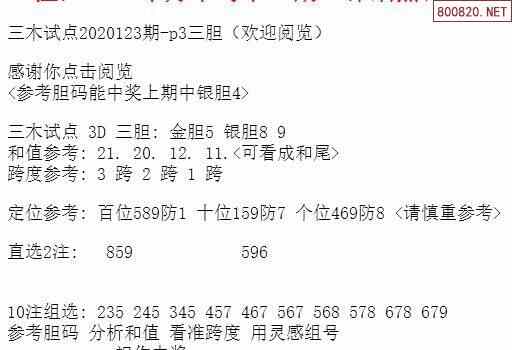 三中三资料,高效方法解析_至尊版20.709