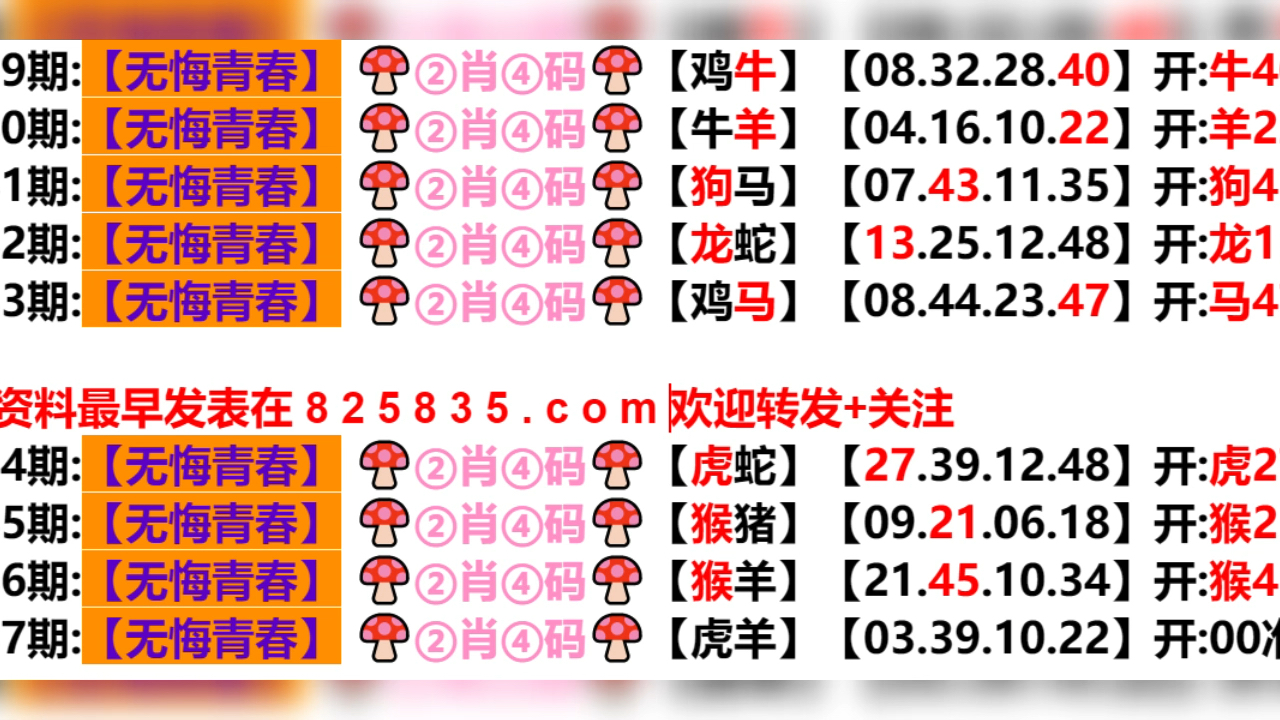 新奥门开奖记录,灵活解析方案_N版90.896