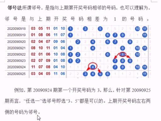 最准一肖一码一一中特,调整计划执行细节_W13.153