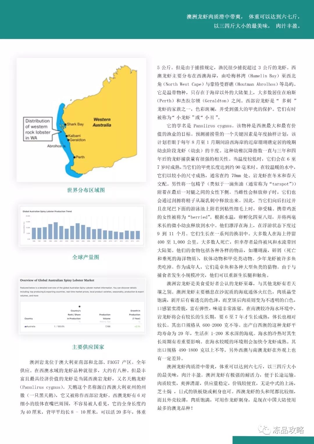 2024年新澳精准正版资料免费,整体规划执行讲解_体验版3.3