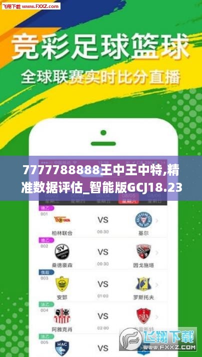 7777788888王中王中王特色功能,综合计划定义评估_ios52.679