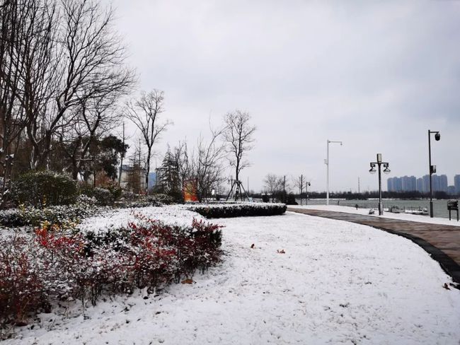 林州下雪实时报道，最新雪情概况