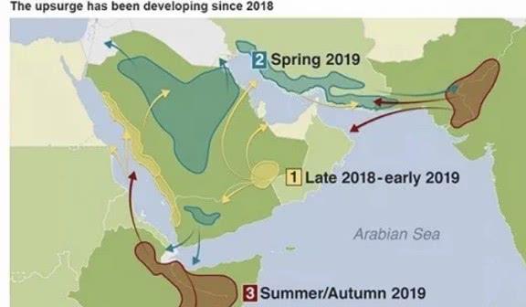 最新蝗虫地图揭示沙漠危机与挑战