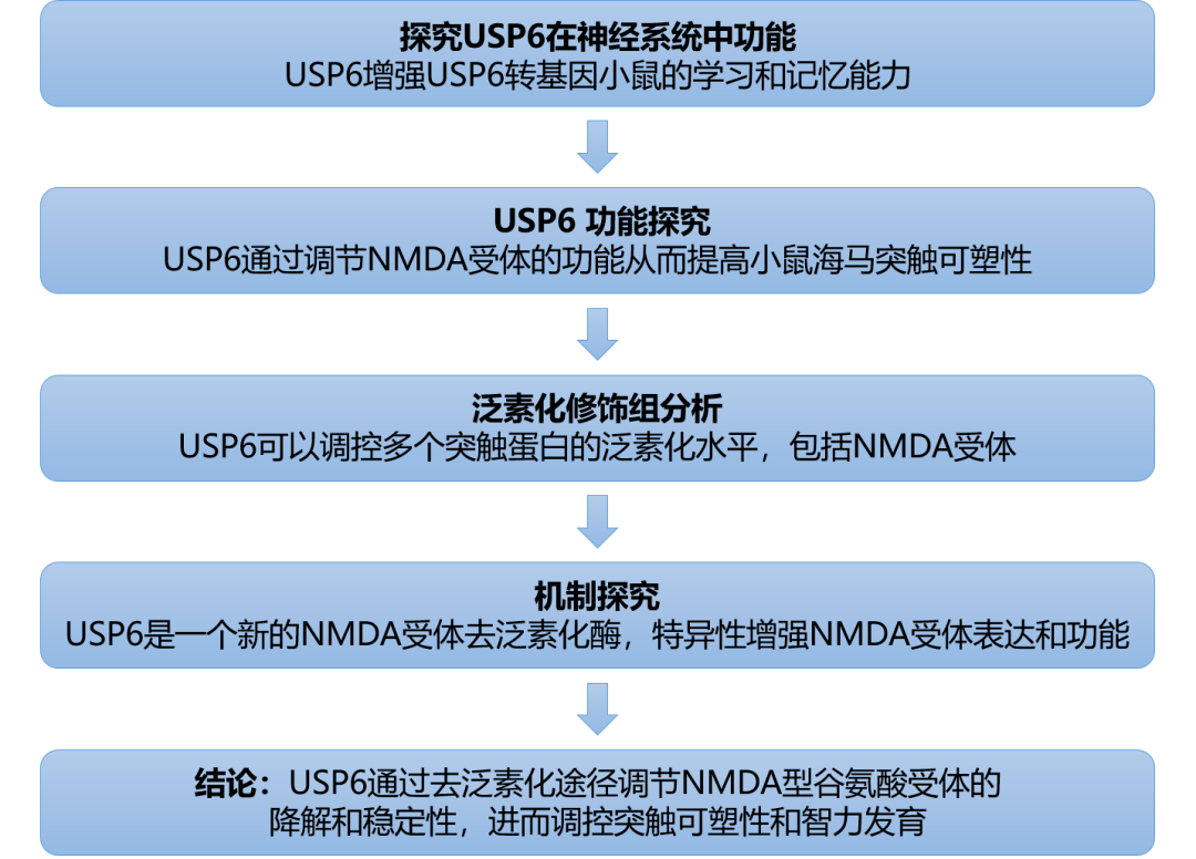 香港最快免费资料大全,安全性策略解析_XE版93.26