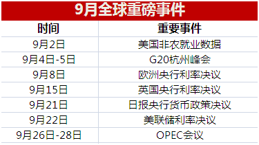 2024新澳门今天晚上开什么生肖,实地数据分析计划_2D53.286