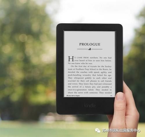 新澳2024今晚开奖结果查询表最新,整体执行讲解_Kindle13.762