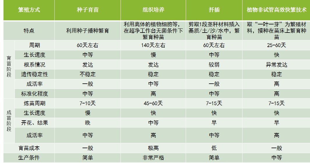 2024年新溪门天天开彩,高效策略实施_QHD67.197