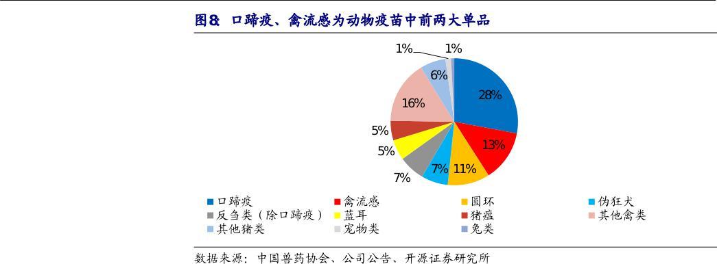 最新禽类探索与研究综述