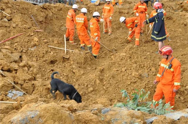 赫章地震最新动态，影响分析及后续关注