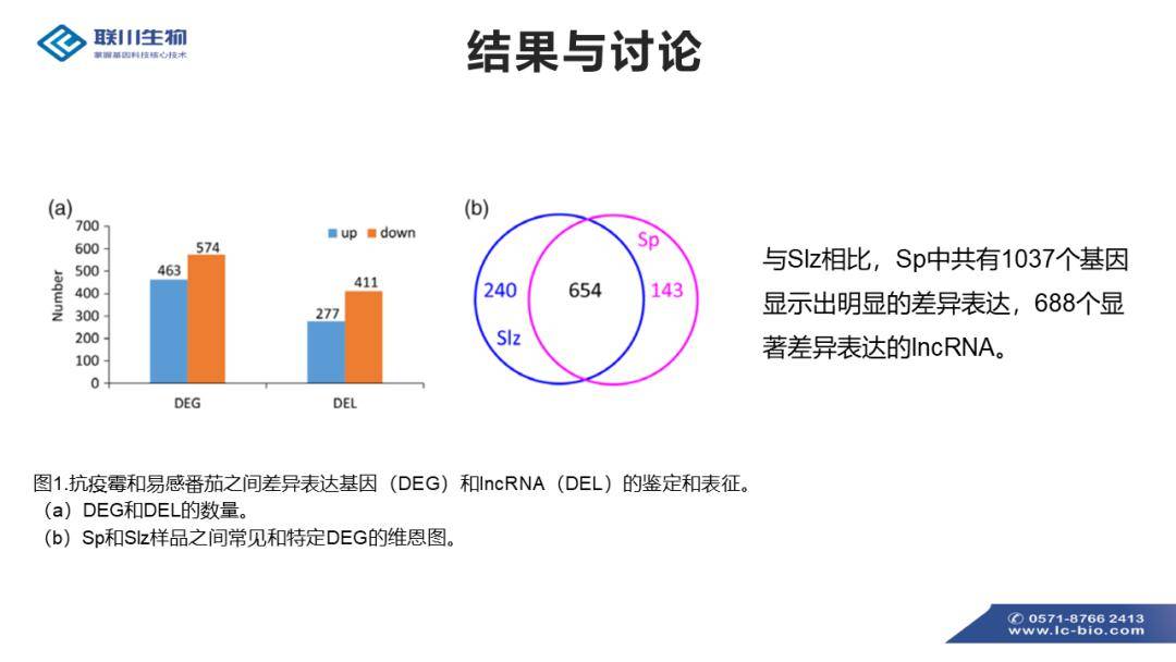 新澳好彩资料免费提供,调整计划执行细节_VR84.540